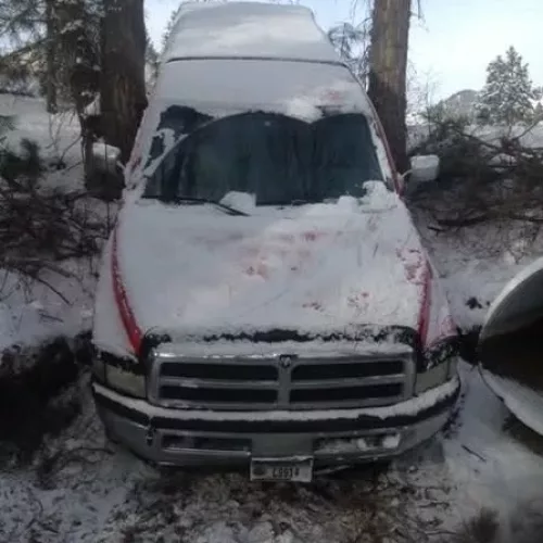 Montana Winter